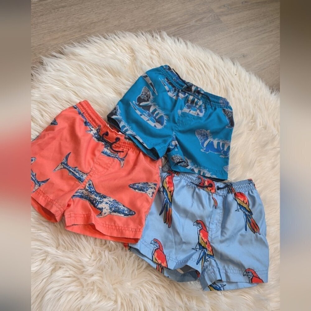 Tea collection toddler mid length  swim trunks